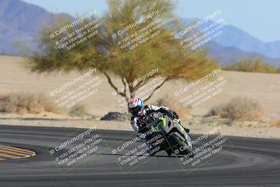 media/Feb-04-2023-SoCal Trackdays (Sat) [[8a776bf2c3]]/Turn 4 (Tree of Life 2pm)/